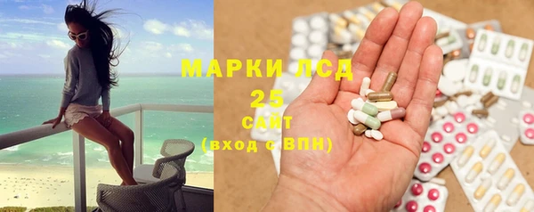 гидра Михайловка