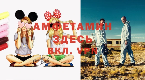 гидра Михайловка