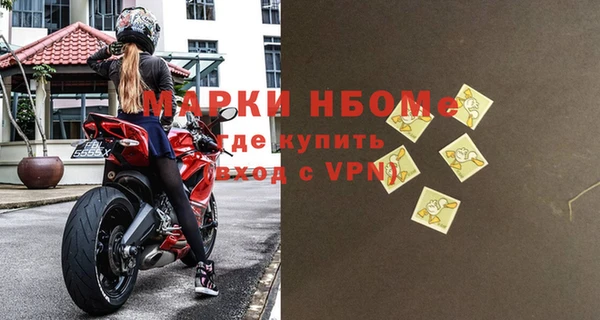 гидра Михайловка