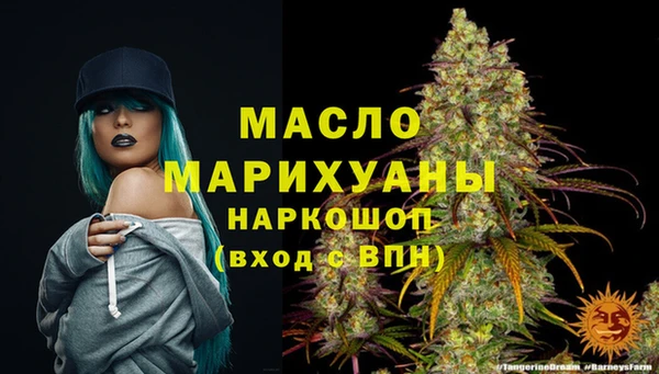 гидра Михайловка