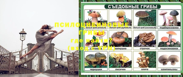 хмурый Михайлов