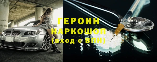 гидра Михайловка