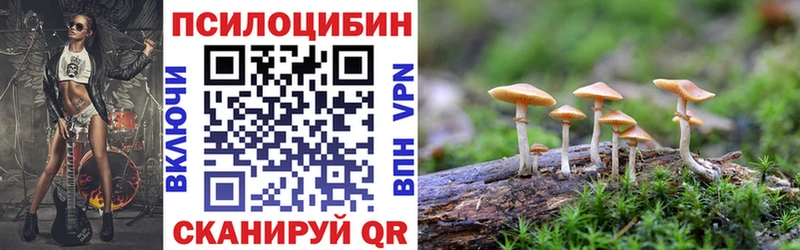 Галлюциногенные грибы Psilocybine cubensis  Калач-на-Дону 