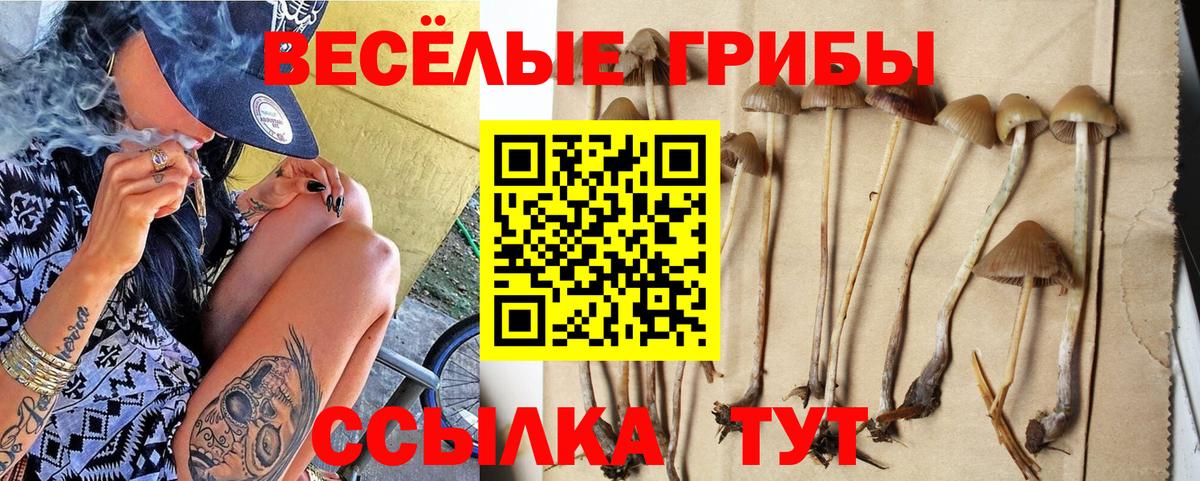 Псилоцибиновые грибы Magic Shrooms  Псилоцибиновые грибы MAGIC MUSHROOMS  купить   Вход с VPN  Калач-на-Дону 